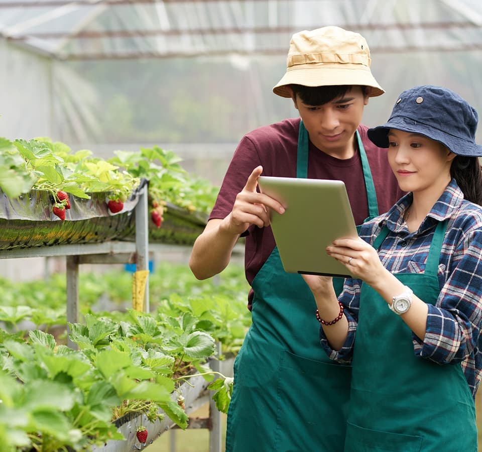 AI Solutions for Agriculture & Agritech