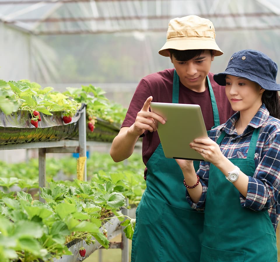 AI Solutions for Agriculture & Agritech