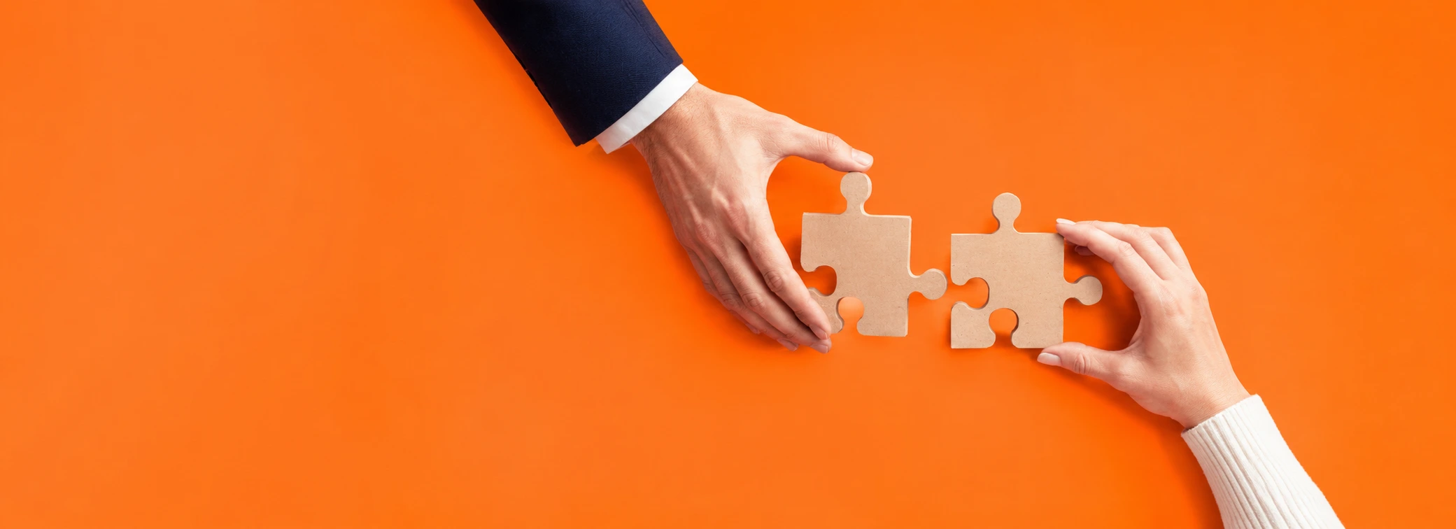 Enterprise Application & Platform Integration Services