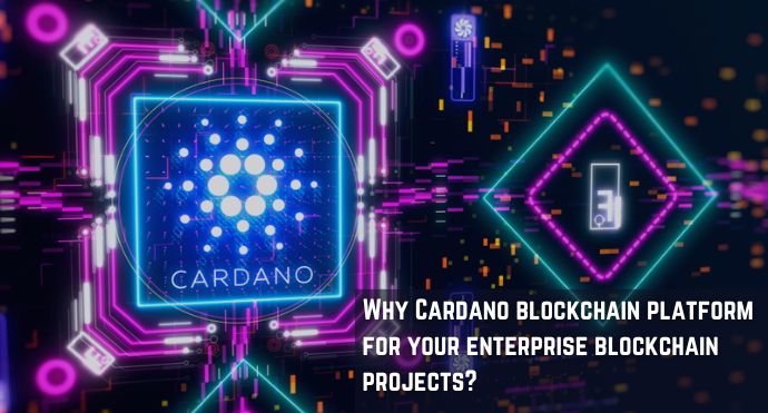 Cardano blockchain platform for your enterprise blockchain projects