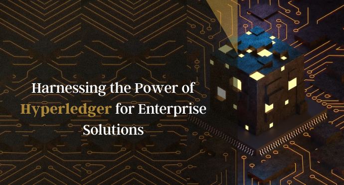 Harnessing the Power of Hyperledger for Enterprise Solutions