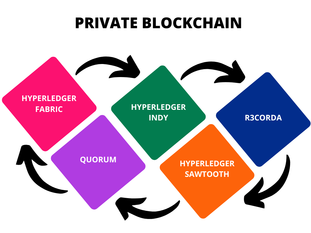 Private Blockchain Development: Ultimate Flexibility with Low Gas Fee
