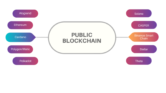 Public Blockchain service