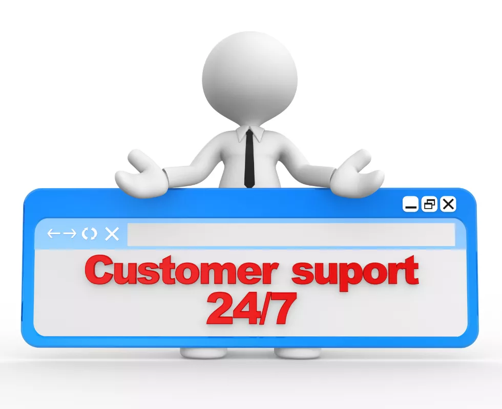 24/7 Support and Maintenance