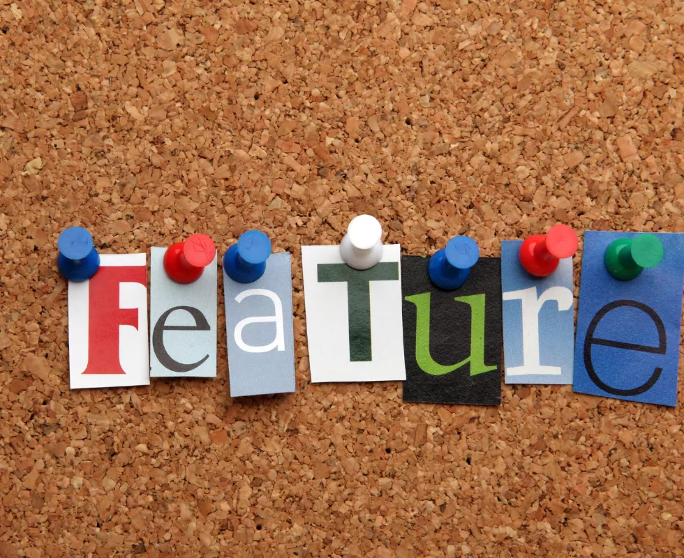 Role-Based Features